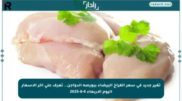 تغير جديد في سعر الفراخ البيضاء ببورصة الدواجن.. تعرف على آخر الأسعار اليوم الأربعاء 6-8-2025